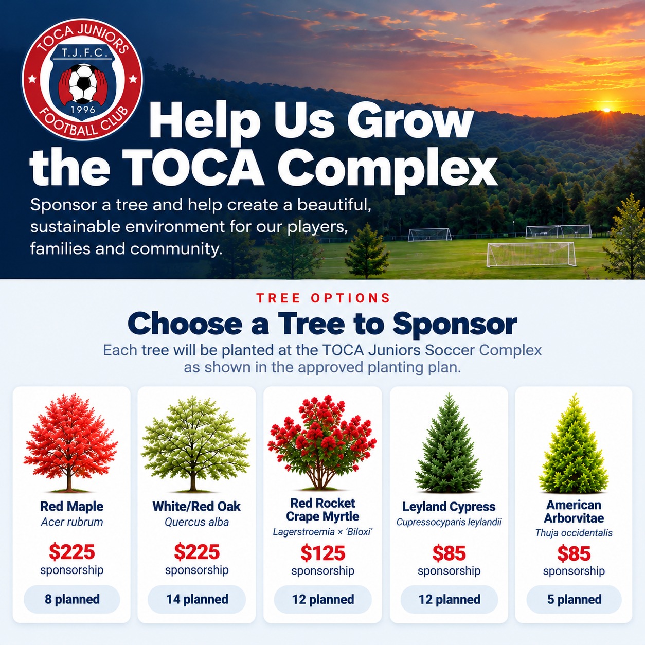 Help Us Grow the TOCA Complex — tree sponsorship options